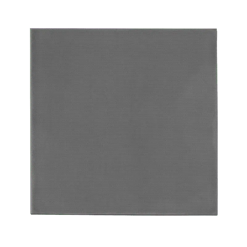 Thermal Grizzly Minus Pad Extreme 2 – 100 × 100 Mm Sheet 1