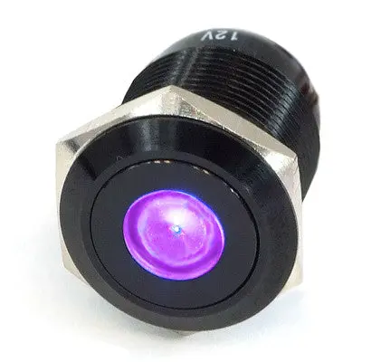 Vandal-Resistant Illuminated Momentary Switch – Black, 22/19Mm, Purple Dot 1