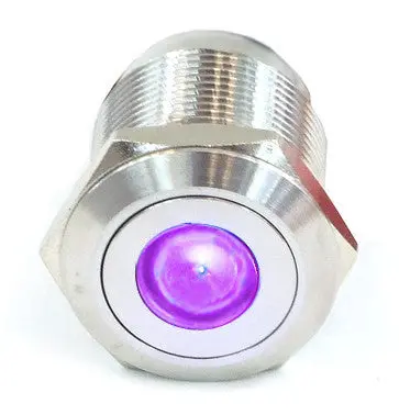Vandal-Resistant Illuminated Momentary Switch – Silver, 22/19Mm, Purple Dot 1